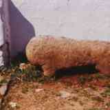 Click para ampliar. Verraco o león de Guadalupe